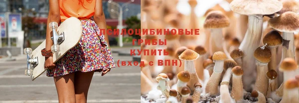 ешки Белоозёрский