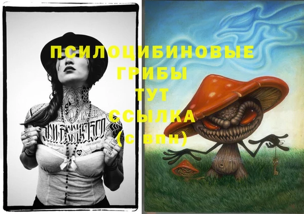 ешки Белоозёрский