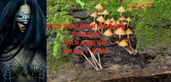 ешки Белоозёрский