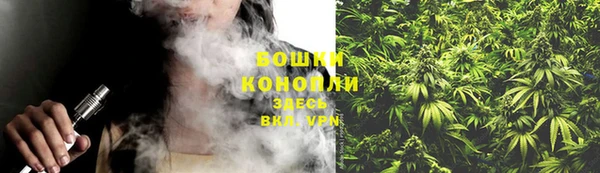 PSILOCYBIN Беломорск