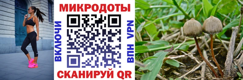 купить наркоту  Белоусово  Галлюциногенные грибы прущие грибы 